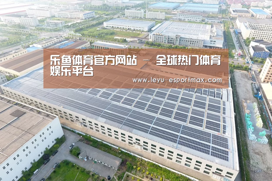 案例展示二