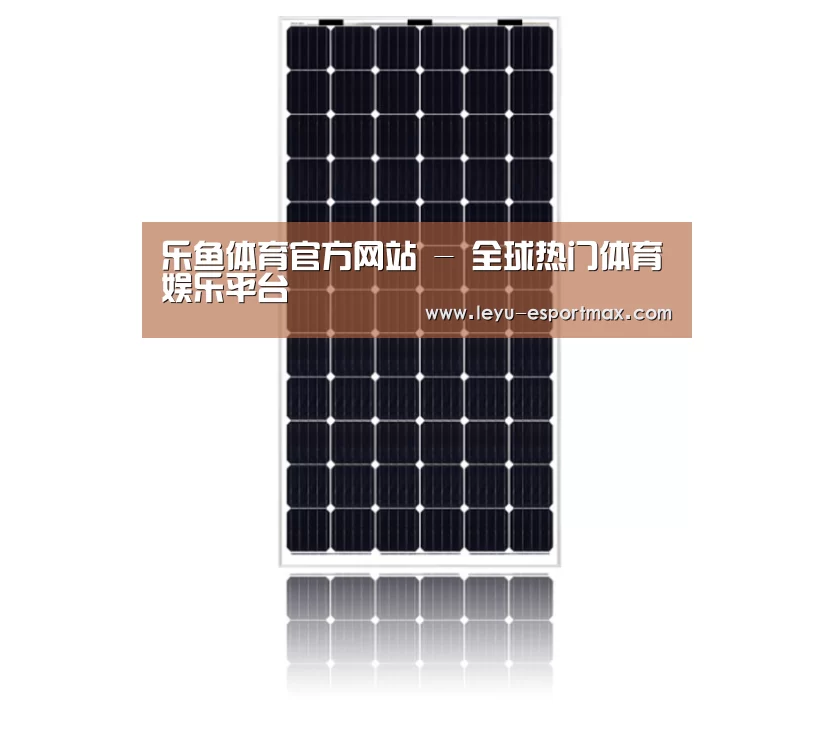 产品名称五