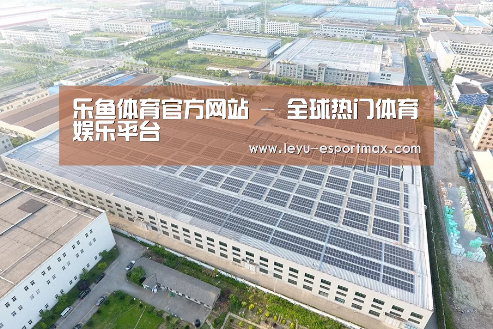 案例展示三