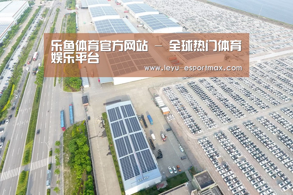 案例展示一