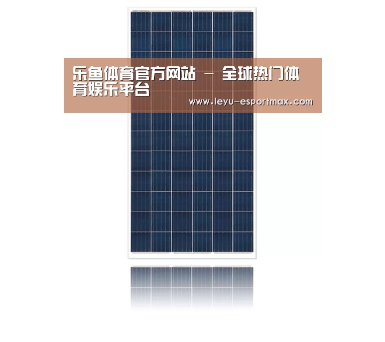 产品名称一
