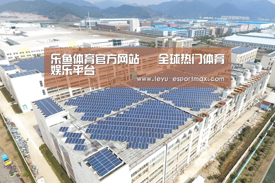 案例展示四