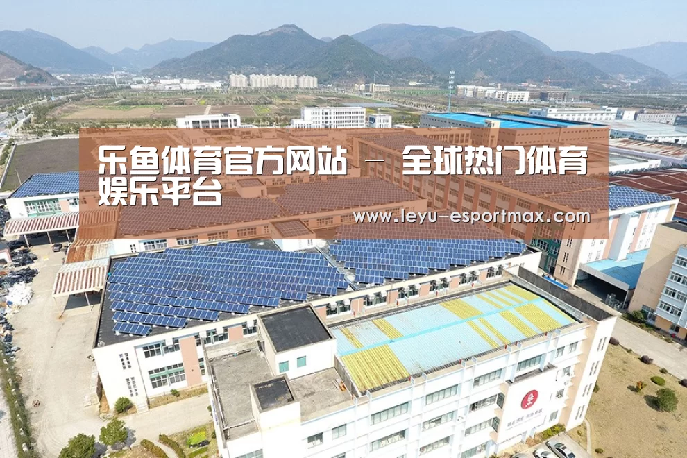 案例展示三
