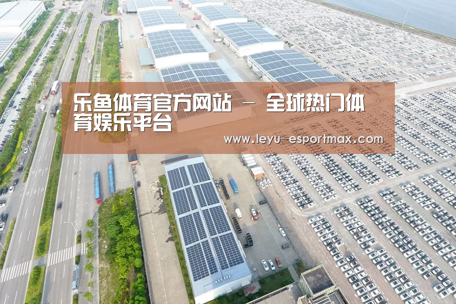 案例展示二