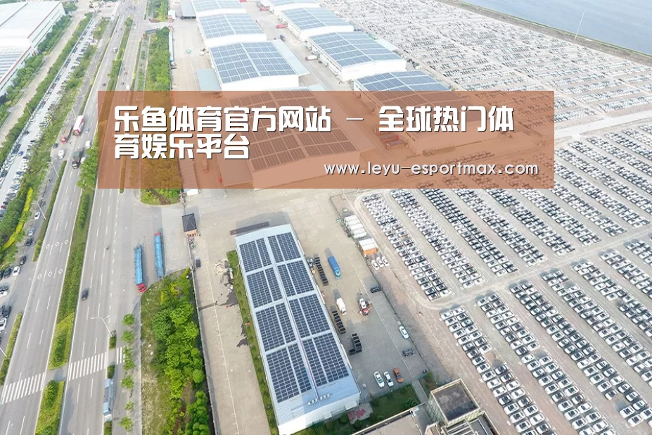 案例展示三