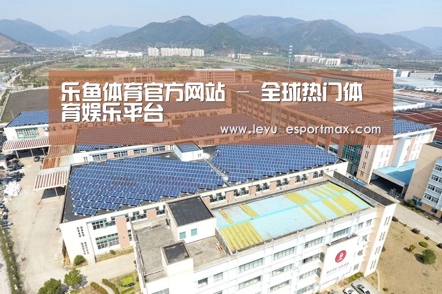 案例展示三