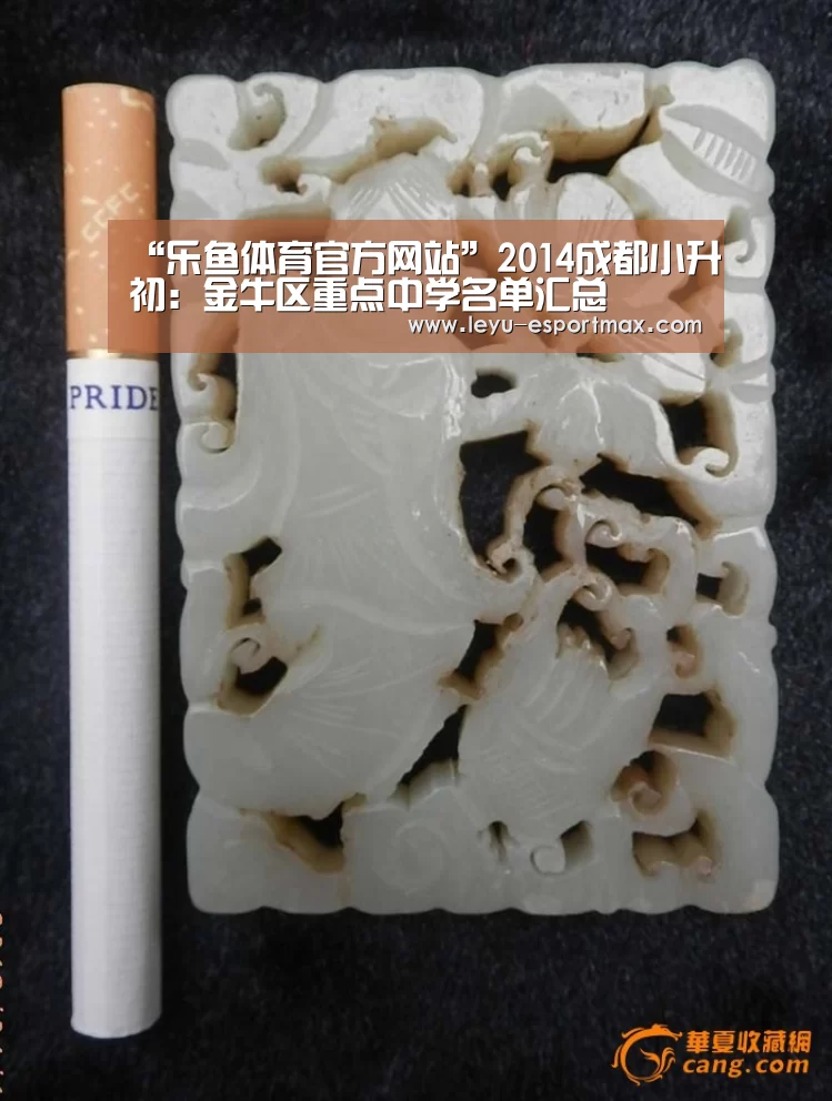 乐鱼电竞APP