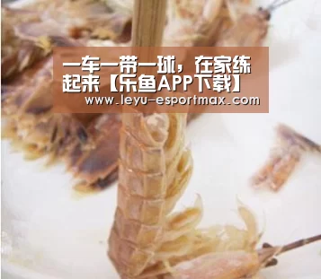乐鱼登录入口