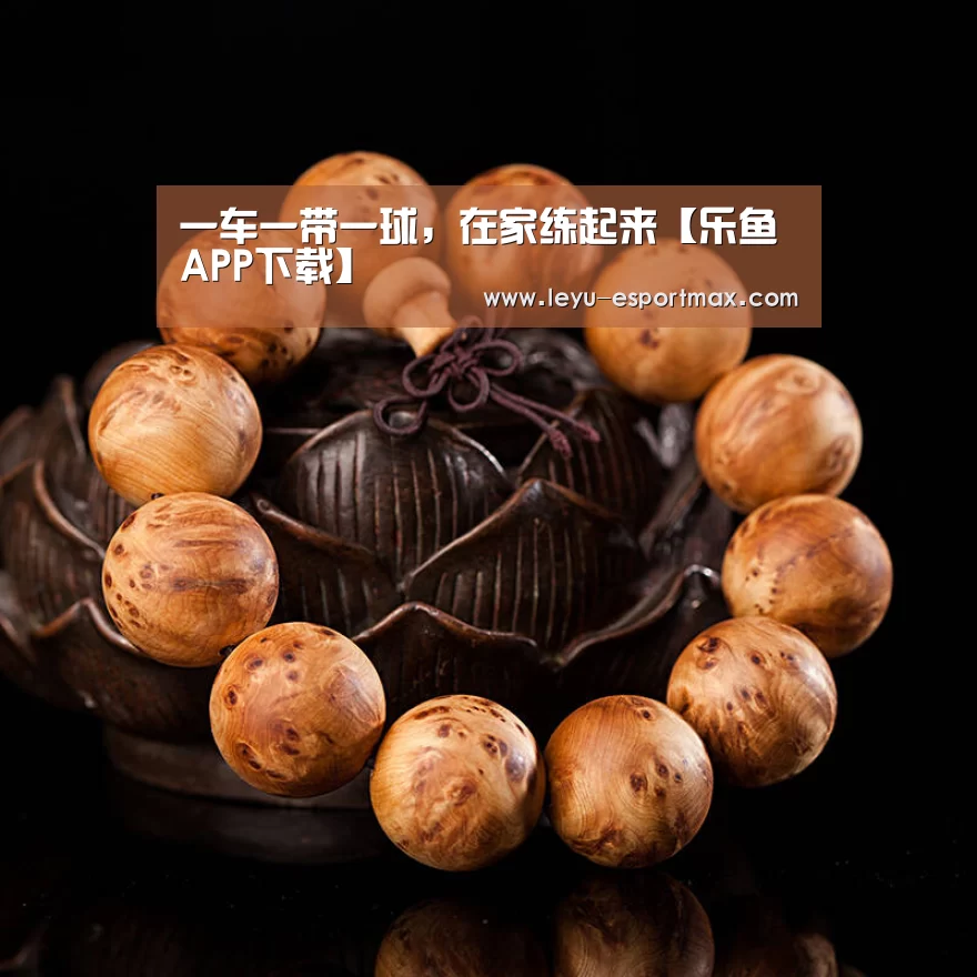 乐鱼电竞APP