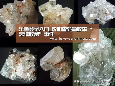 乐鱼登录入口_沈阳查处急救车“离谱收费”事件(图2) 乐鱼体育官方网站