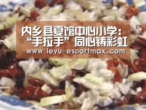 乐鱼体育官方网站
