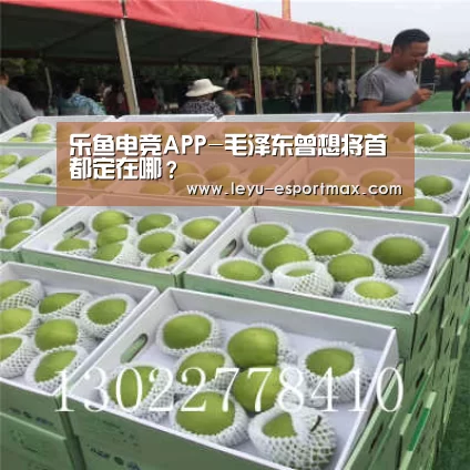 乐鱼APP下载