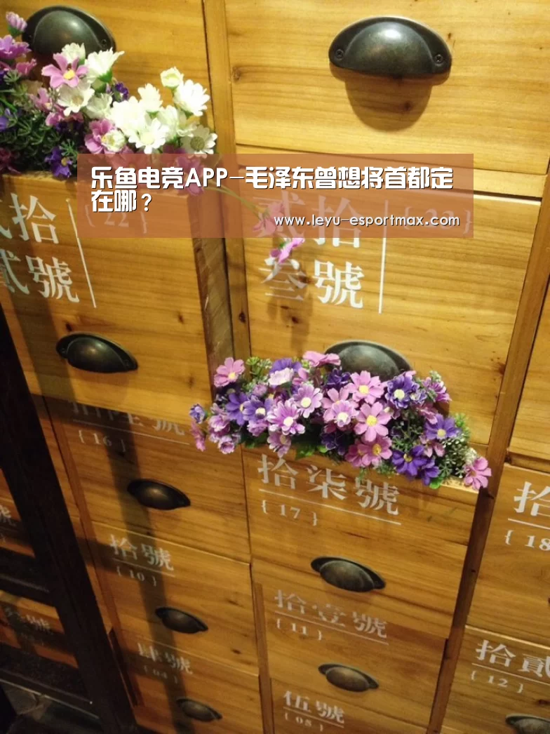 乐鱼电竞APP