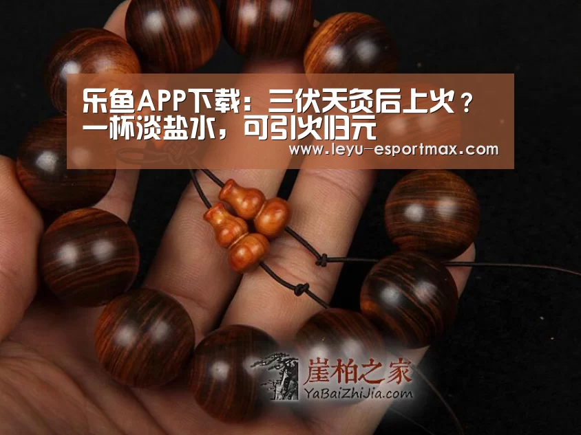 乐鱼体育官方网站